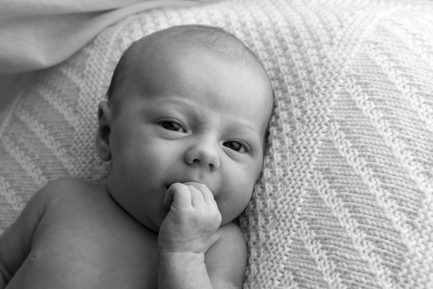 Portrett Babyfoto